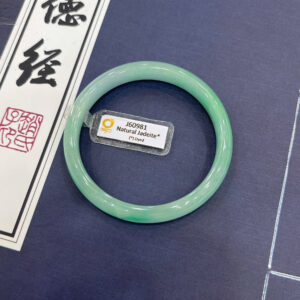 Vòng phỉ thuý Type B – j60981